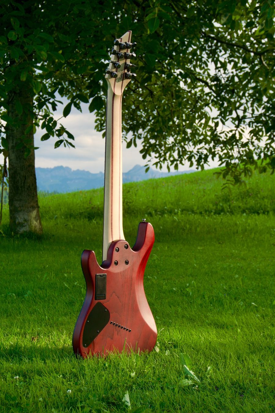 Cort Strumenti musicali: Cort KX508MS 8 Saiten Gitarre – Usato da Kriens venduto da jur_v9q9 1