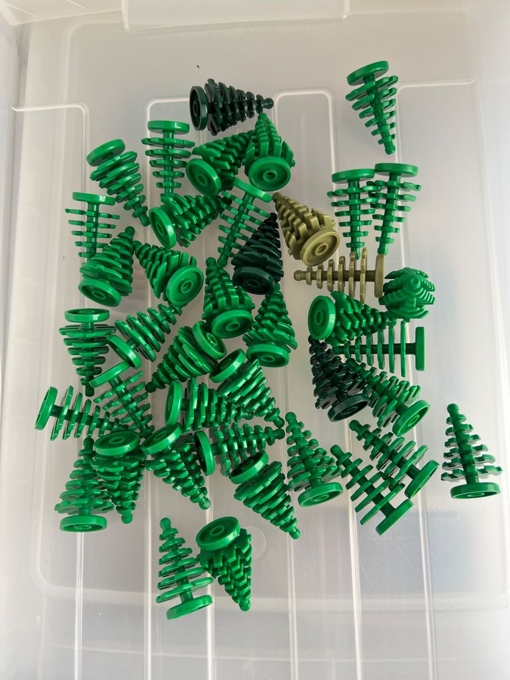 Lego Giocattoli: LEGO Tannen klein 41 stk. – Usato da Uttigen venduto da sonorsonic