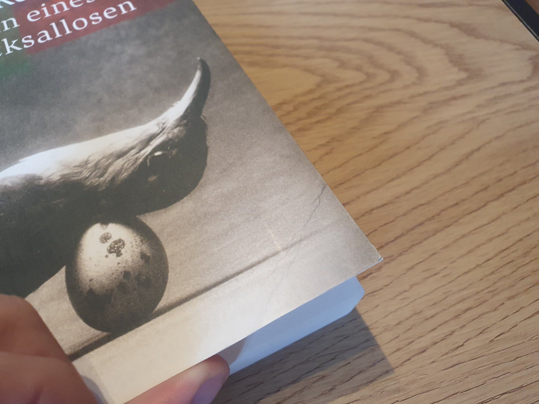 Libri: Roman eines Schicksallosen - Imre Kertész – Usato da Bern venduto da NilsMosi 3