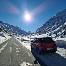 Profile image of chaschte01