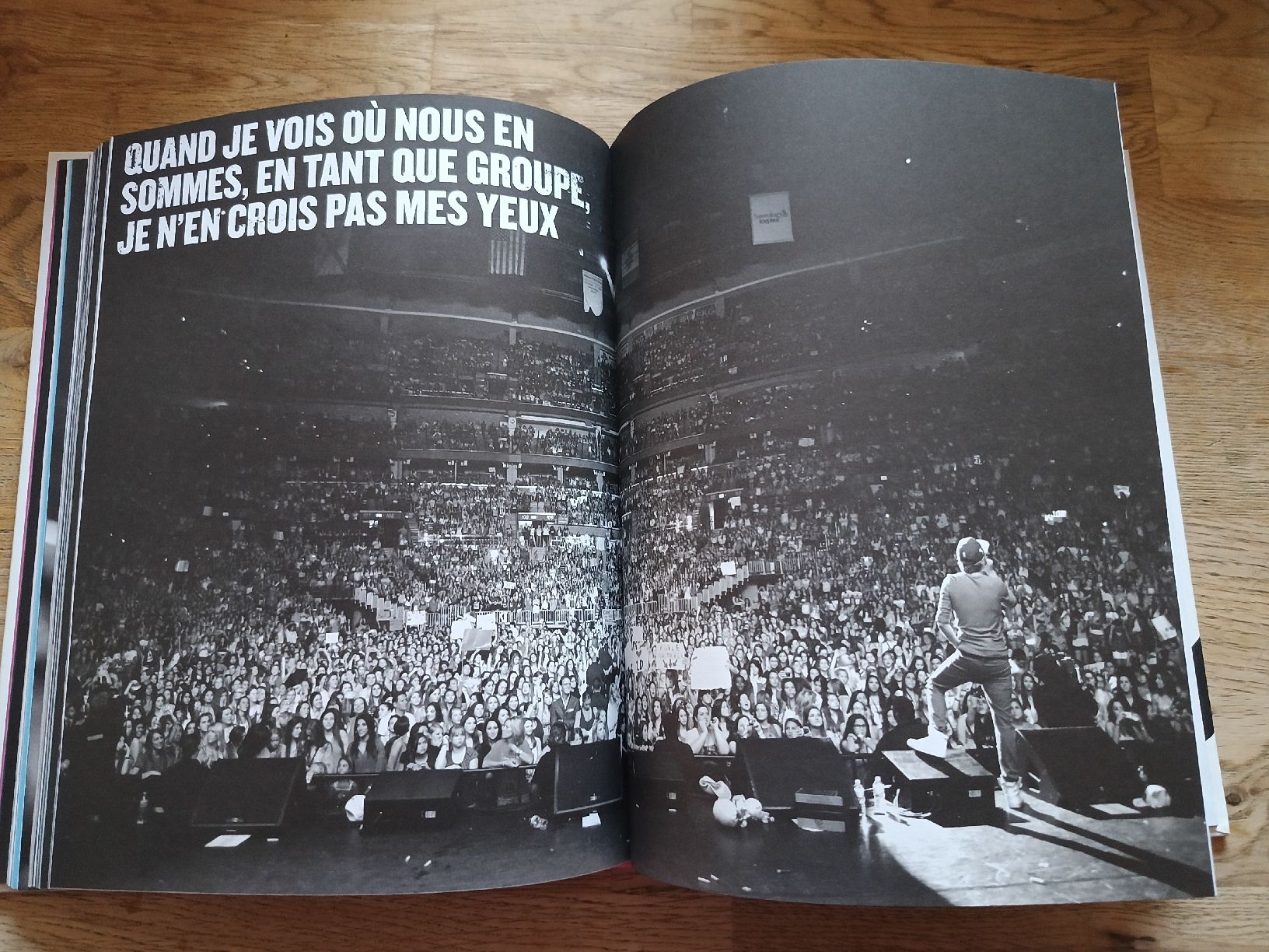 Libri: Livre One Direction 1D - Nous, Maintenant – Usato da Bex venduto da Canouille 3