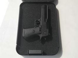 Tragbarer Safe für Wertsachen / Waffen