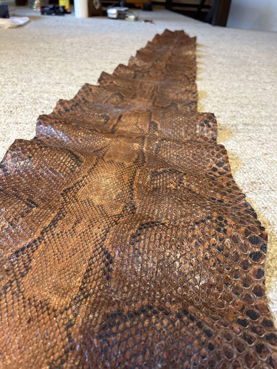 Tutte le decorazioni: Exotische Python Haut, Natur Braun, Unikat, 3 Meter 75cm – Usato da Hinwil venduto da Sizu0 2