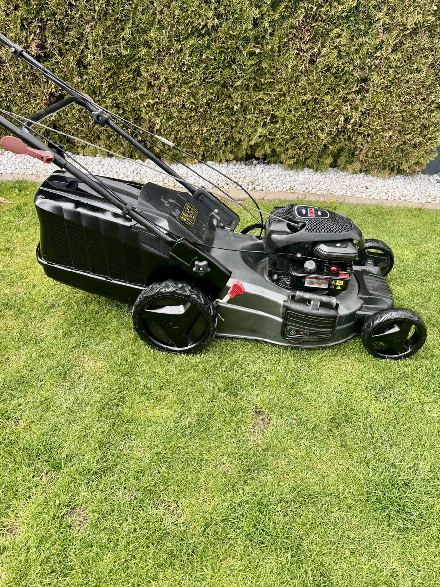 Tagliaerba: Rasenmäher Briggs&Stratton – Usato da Safenwil venduto da kitty06 2
