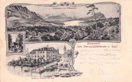 Küssnacht am Rigi SZ // 1902 Litho Hotel Pension du Lac