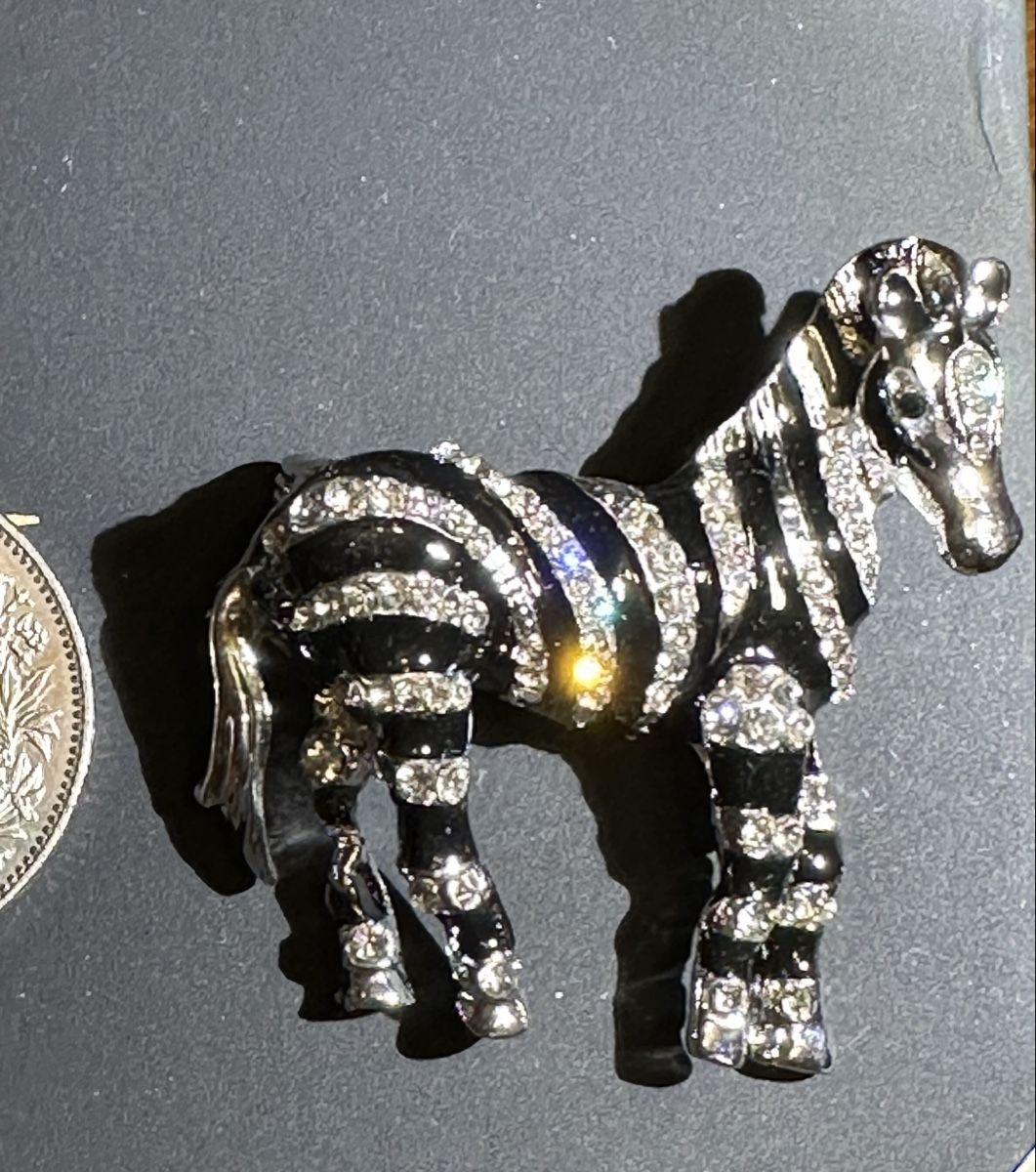 Spille & Fermagli: Brosche Zebra mit Strasssteinen – Nuovo (secondo la descrizione) da Trüllikon venduto da angela4444 1