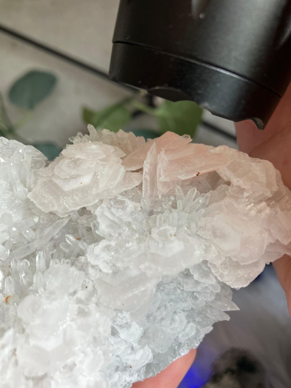 Pietre preziose: Pink Petal Calcit auf Quarz – Nuovo (secondo la descrizione) da Neuheim venduto da m.hald 6
