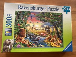 Ravensburger Puzzle Dschungel 300 Teile XXL neu