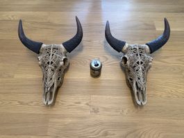 Dekorative Büffelschädel Wanddeko, spezielles Design!