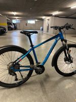 Bixs mountainbike 29 zoll