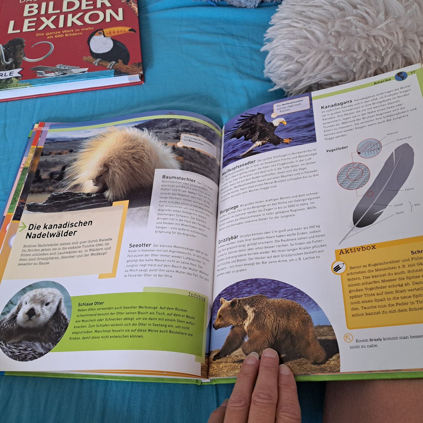 Libri: Tiere der Welt – Usato da Unterentfelden venduto da Miro-Lou 1