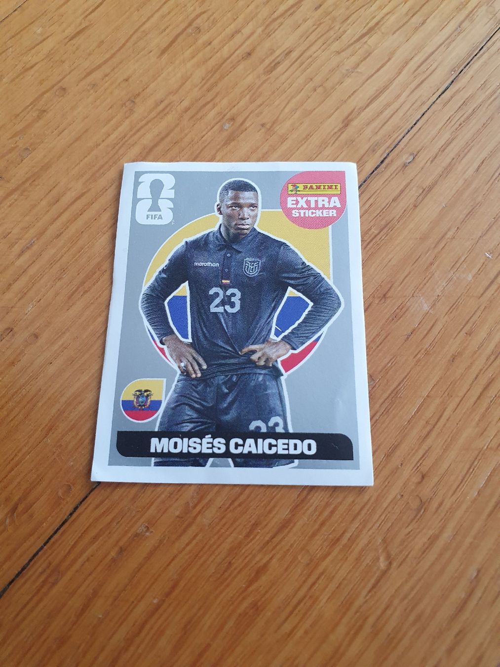 Panini Sammelbilder & Trading cards: Panini Exta sticker – Gebraucht aus Wädenswil von Patomania