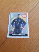Panini Exta sticker