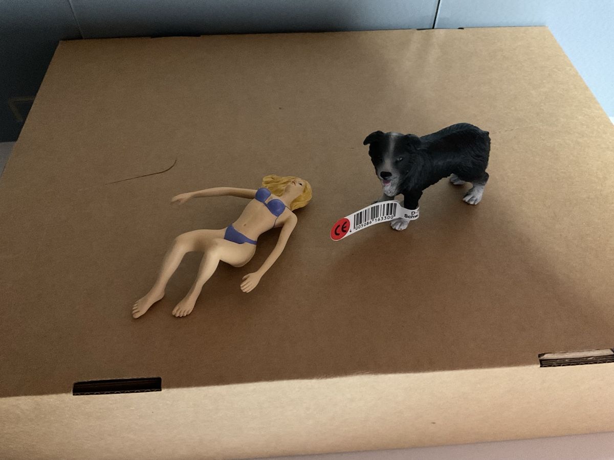 Schleich Giocattoli: Frau im Bikini mit Hund 1:18 – Nuovo (secondo la descrizione) da Nänikon venduto da R_rota 1