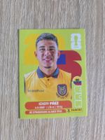 Panini Sticker ECU 11