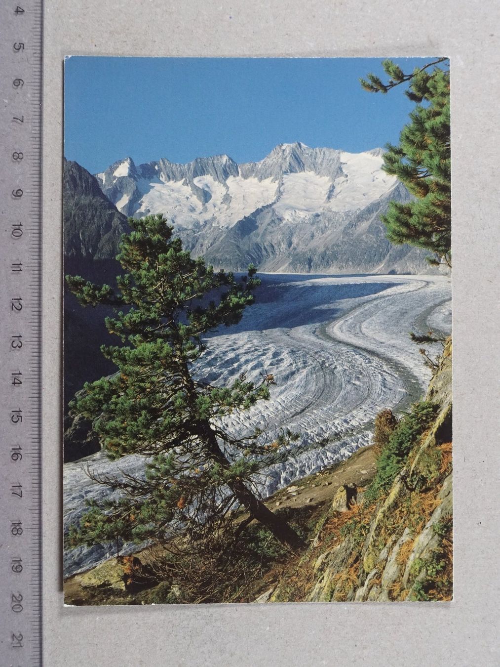 Cartoline postali: Aletschwald, Aletschgletscher, 1984 – Usato da Lenzburg venduto da fh1