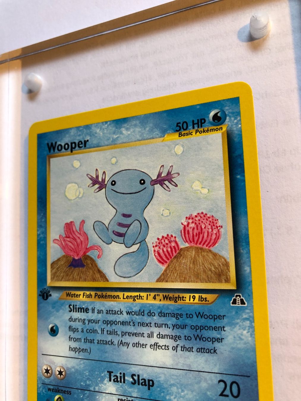 Carte collezionabili: Wooper 1st Neo Discovery - MINT - ab 1.- – Usato da Giubiasco venduto da dan_pr8b 3