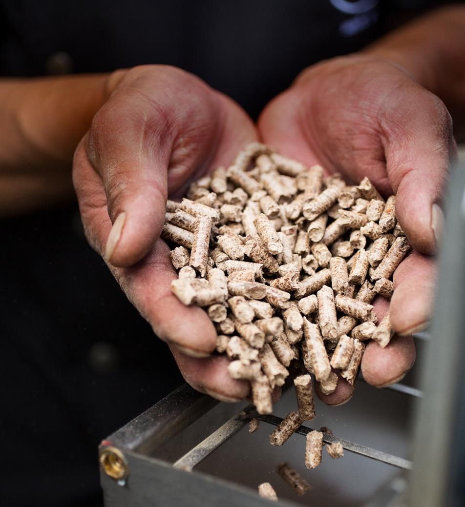 Articoli in legno: BBQ Grill Pellets 9kg – Nuovo e nell'imballaggio originale da Dierikon venduto da MarkoPa 1