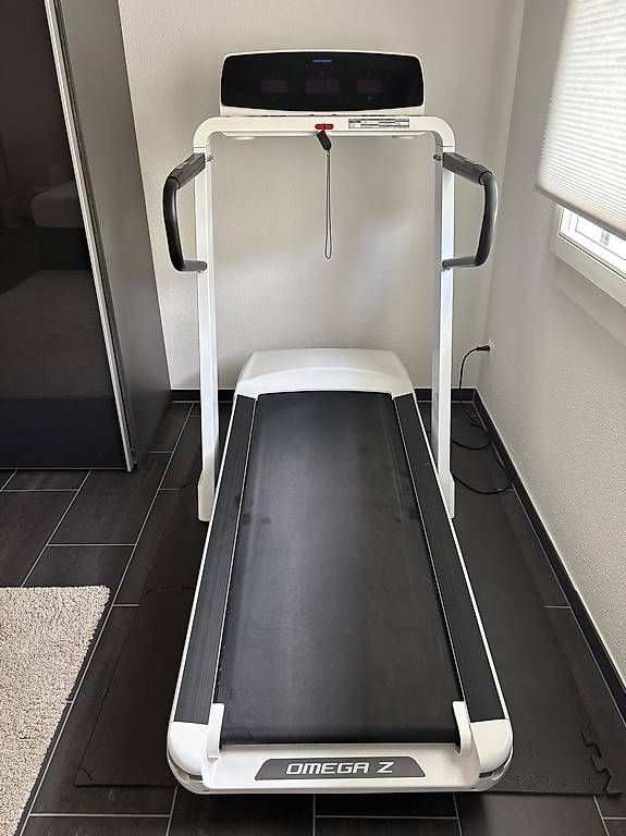 Hometrainer: Laufband Horizon – Usato da Merlischachen venduto da cameron26