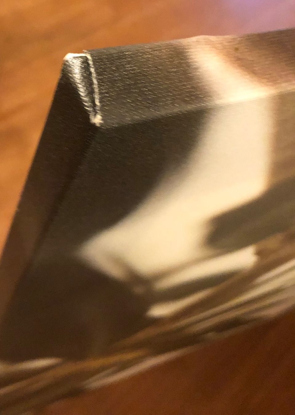 Foto & Immagini: Bild mit Olivenzweig 78x118cm – Usato da Münchenstein venduto da Dibu11 1