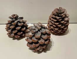 3er Set Dekorative Tannenzapfen, Winterdeko für drinnen &...