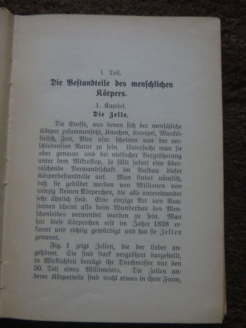 Libri: Der menschliche Körper - Prof. Dr. Horn – Usato da Diessenhofen venduto da farbschatten 3