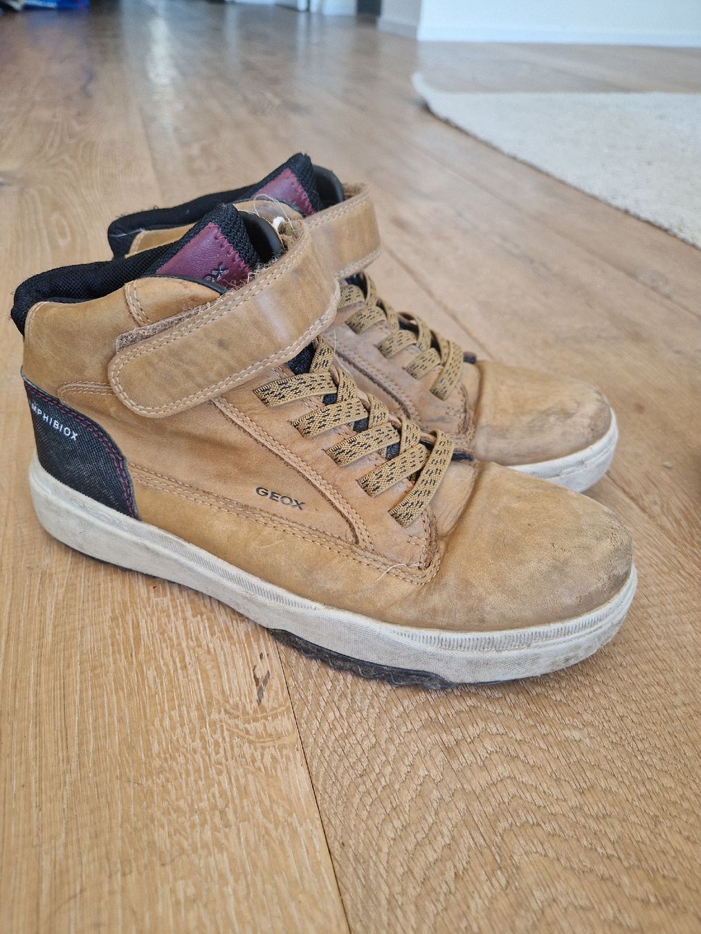 Geox Scarpe per ragazzi: Herbstschuhe Geox, Gr.37 – Usato da Eggersriet venduto da Sdosi