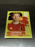 Panini FIFA BEL 15