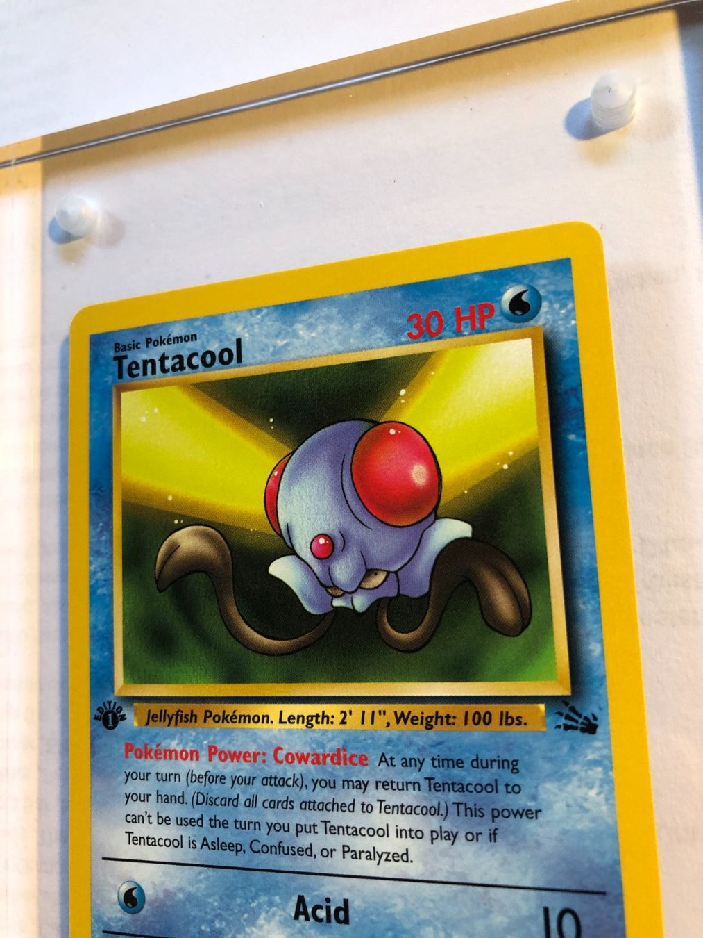 Sammelbilder & Trading cards: Tentacool 1st Fossil - MINT - ab 1.- – Gebraucht aus Giubiasco von dan_pr8b 3