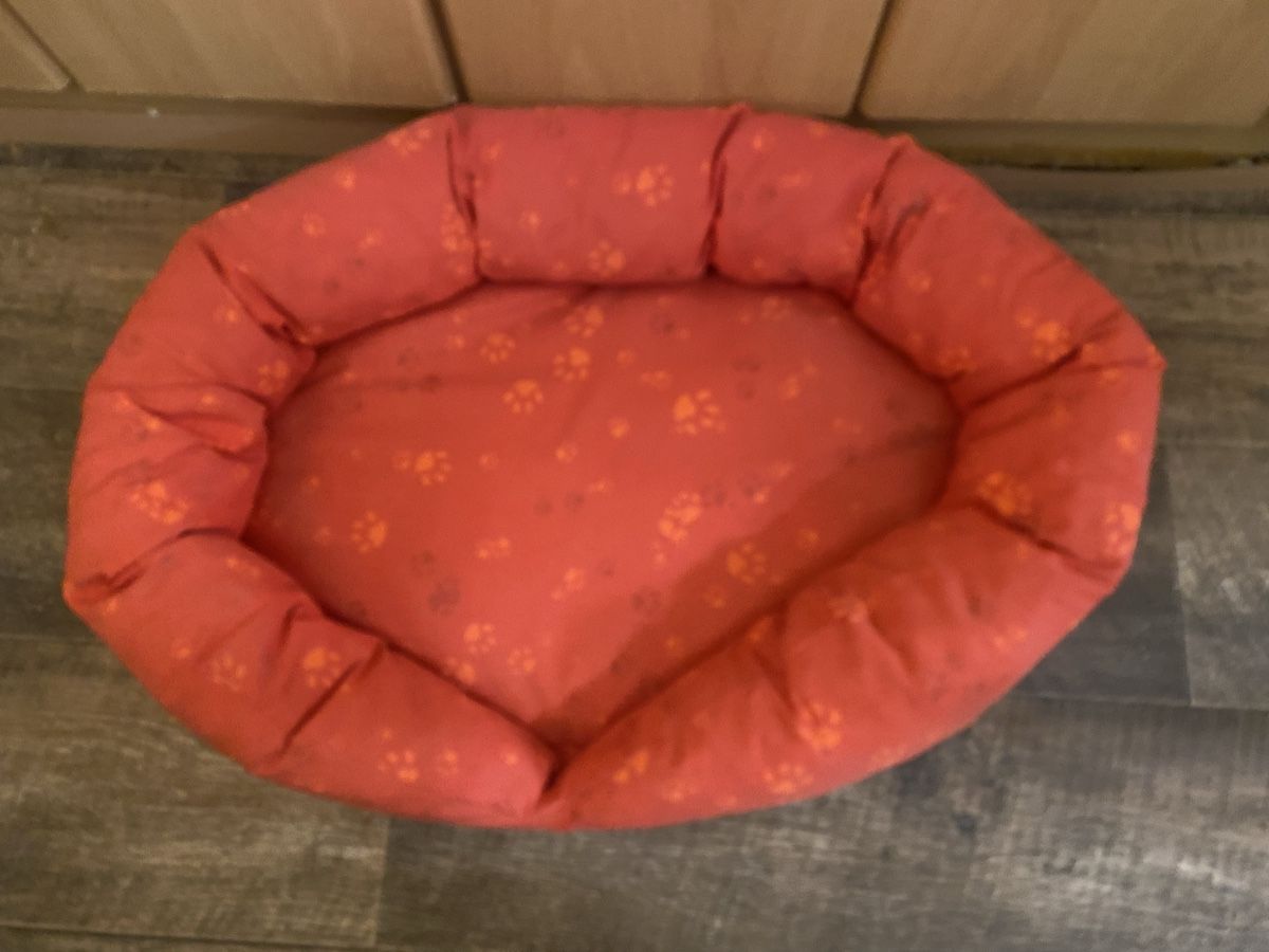 Cucce & Letti: rotes Hunde/Katzenbett 62x44x13cm – Usato da Seewen SZ venduto da shaky01 1