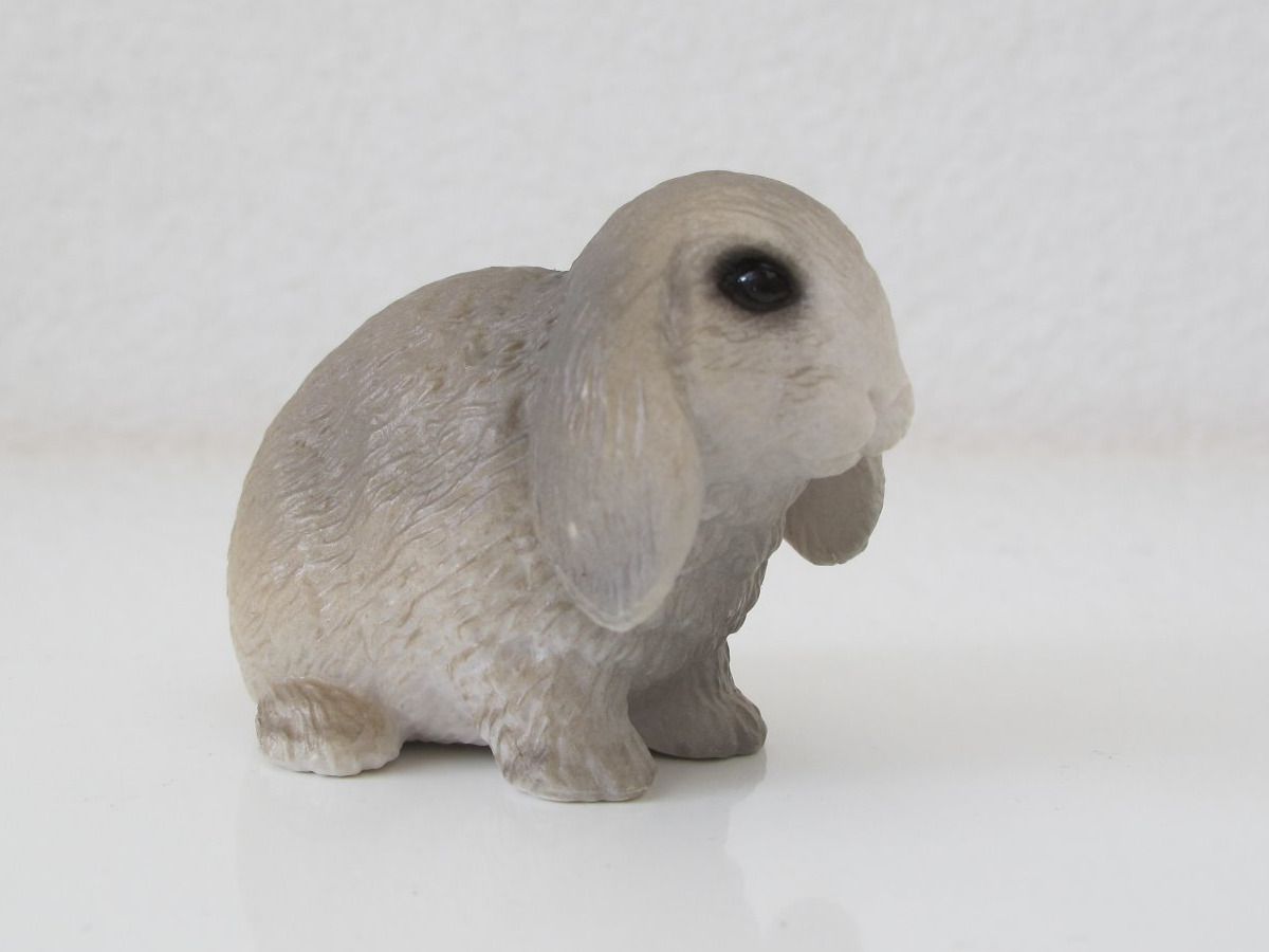 Schleich Statuette: Schleich 14401 Zwergkaninchen, Widderchen – Usato da Vilters venduto da hedi00 1