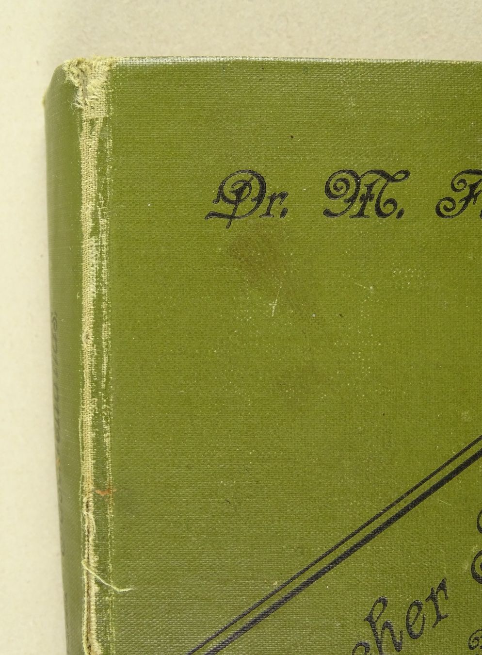 Libri: BOTANISCHER TASCHENATLAS 1900 – Usato da Grüningen venduto da Kartensammler 1