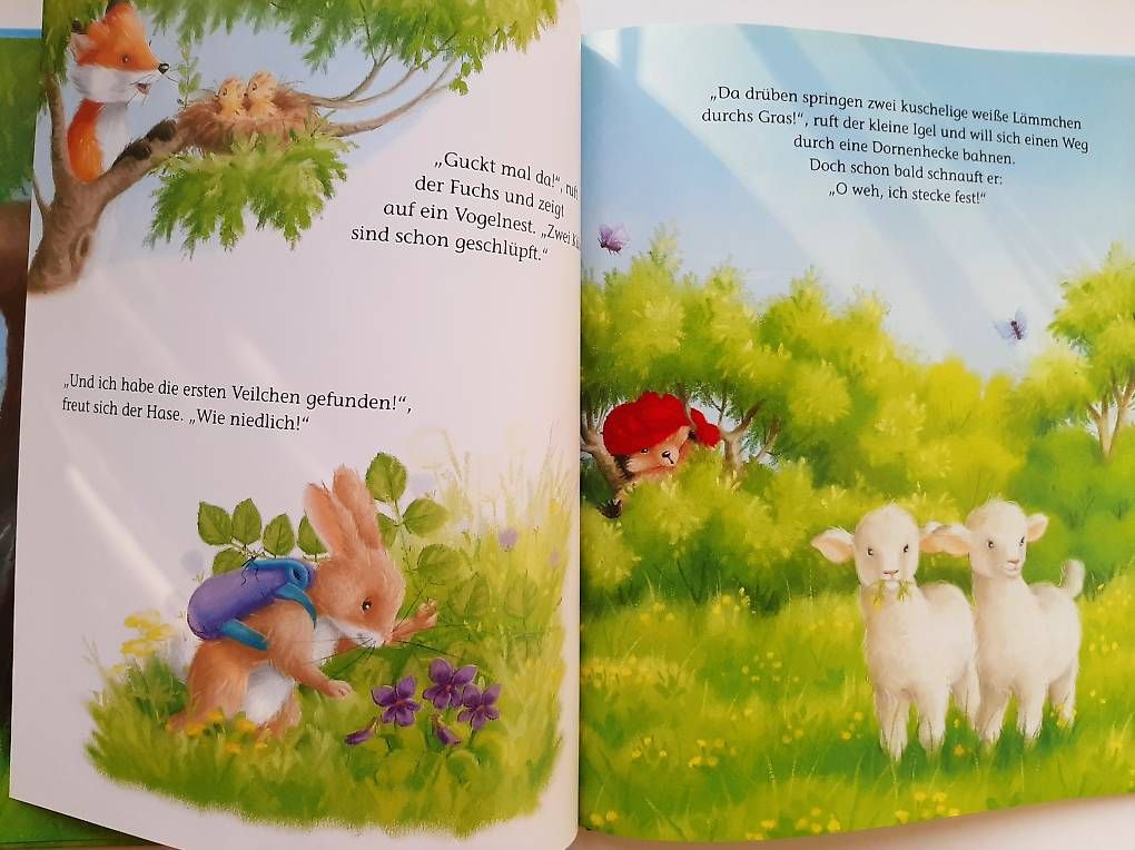 Libri: Kinderbuch "Der kleine Igel und das verlorene Entchen"  – Usato da Basel venduto da Renato_hirzi 3