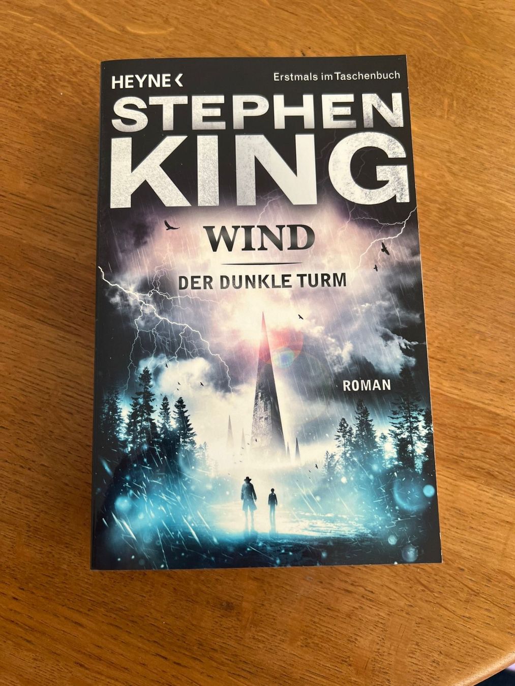 Libri: Stephen King - Wind Der Dunkle Turm – Nuovo (secondo la descrizione) da Hettlingen venduto da lou_c27x