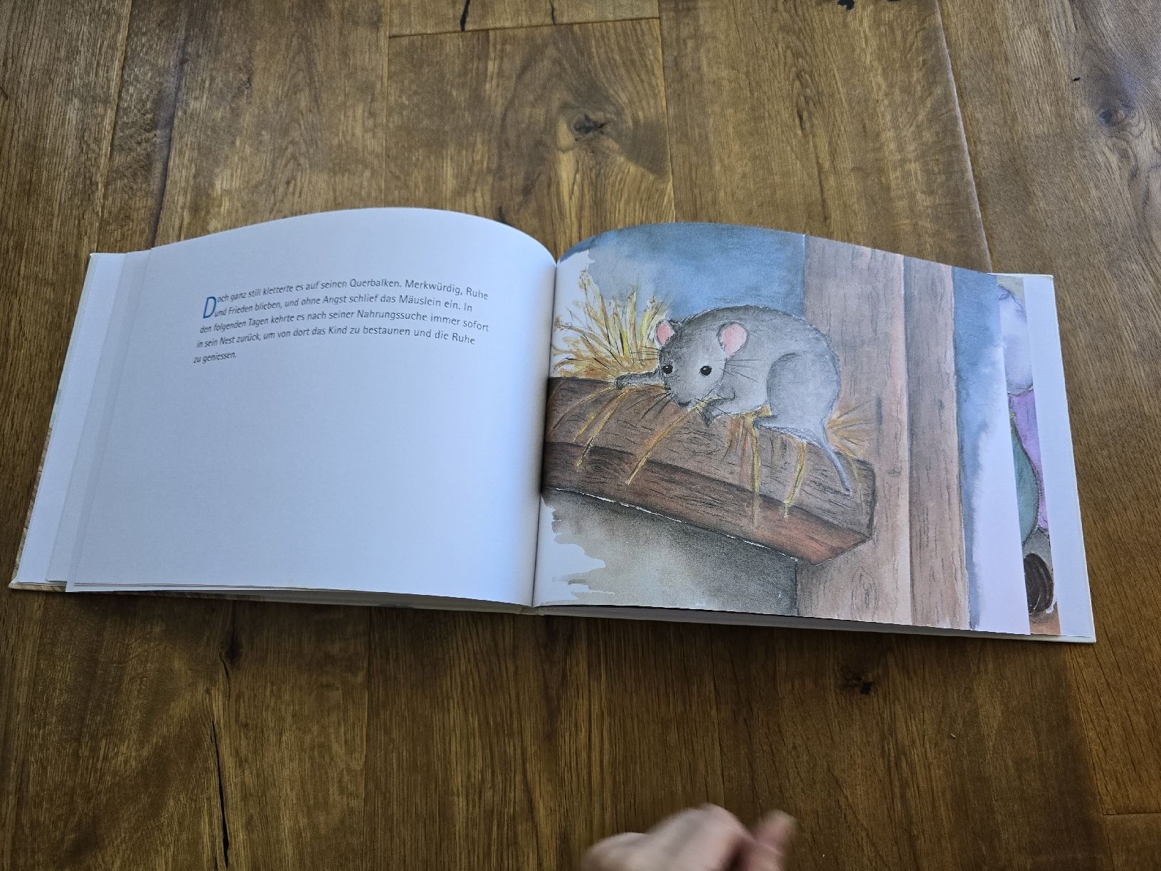 Libri: Raus, kleine Maus! – Usato da Wittenbach venduto da Tigerlili 4