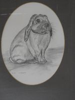 Radierung : Hase
