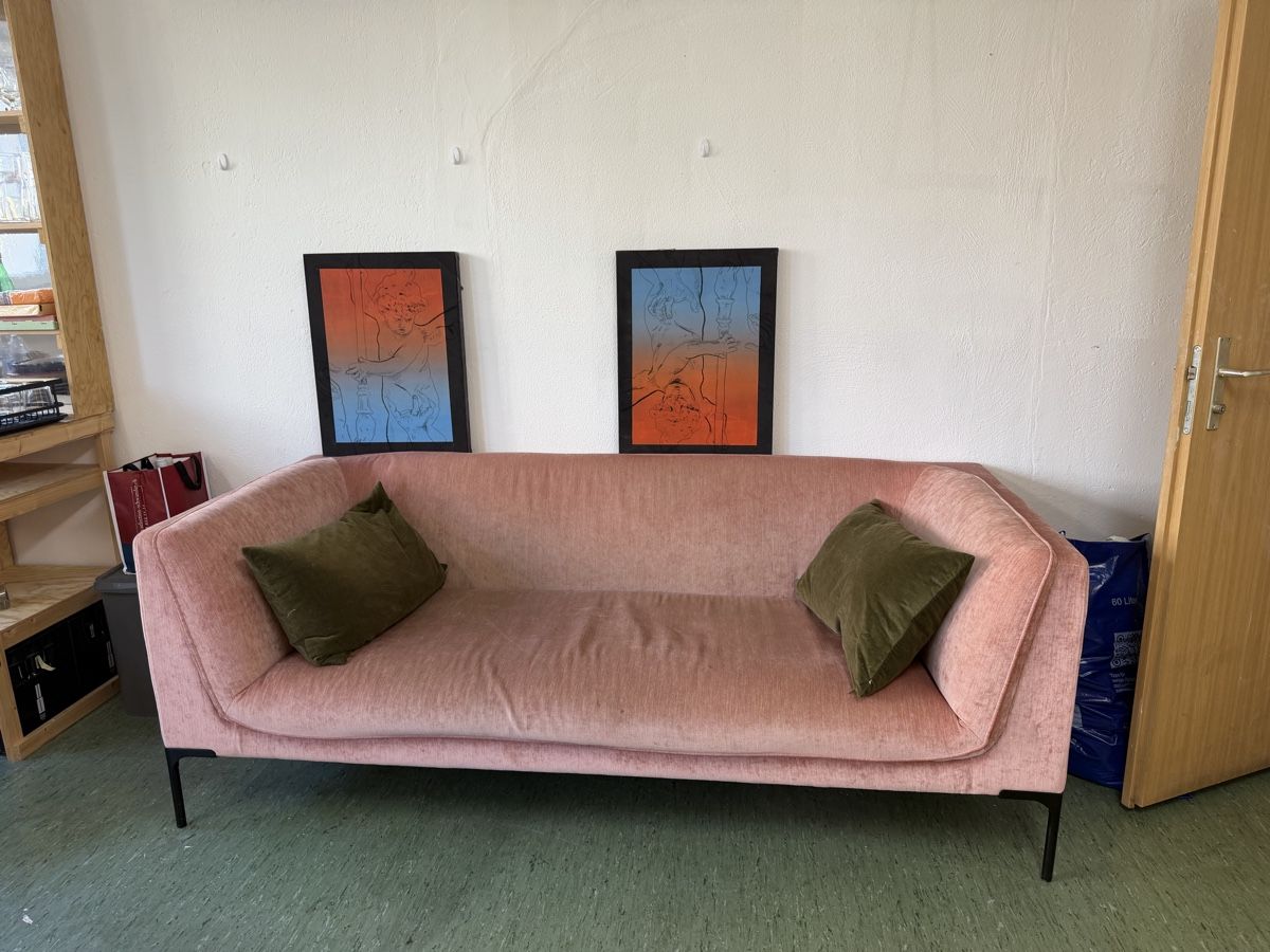 Divani: Rosa samt sofa – Usato da Zürich venduto da hel_7ltr