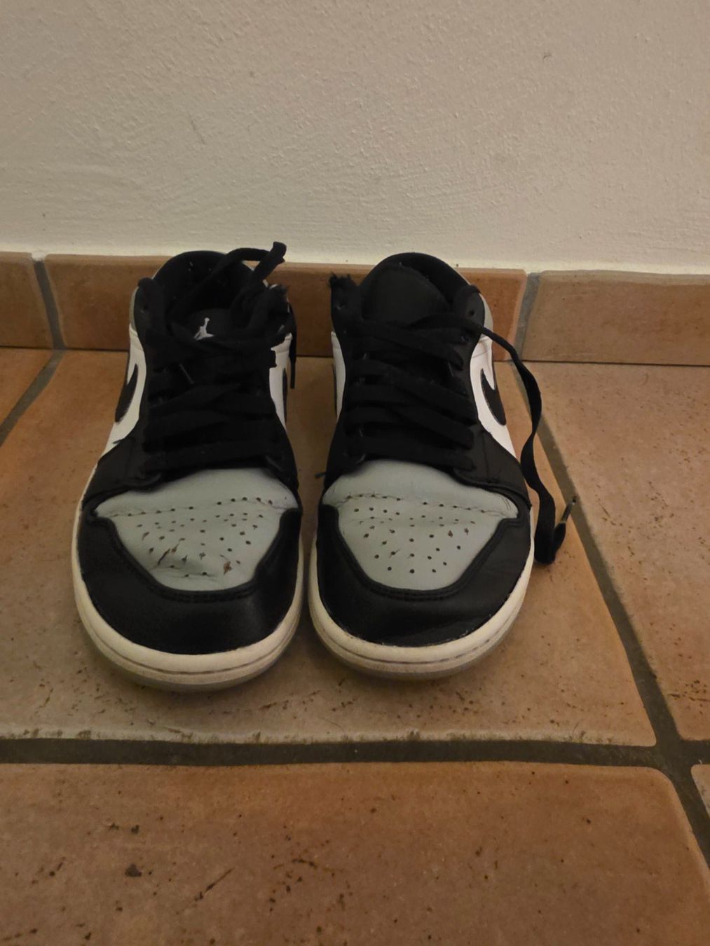 Nike Scarpe da uomo: Nike Air Jordan 1 Low Gr.41 – Usato da Solothurn venduto da luc_5stq 1