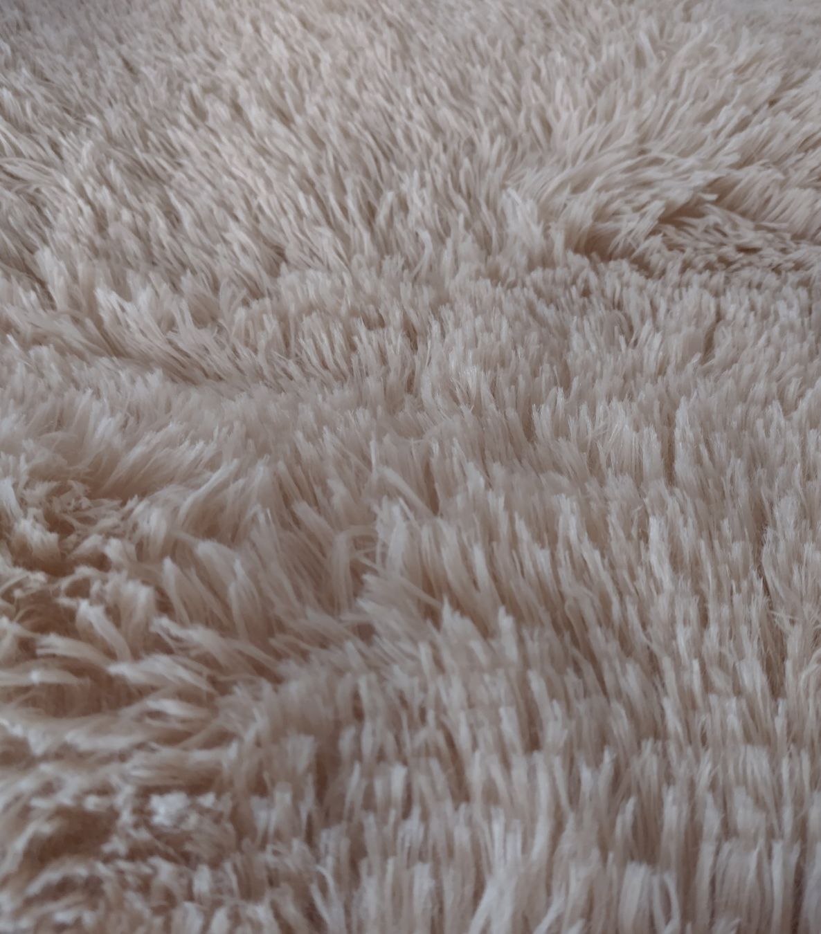 Teppiche: KUNSTFELL BEIGE TEPPICH VORLAGE BASTELN – Gebraucht aus Romanshorn von stu_589j 3