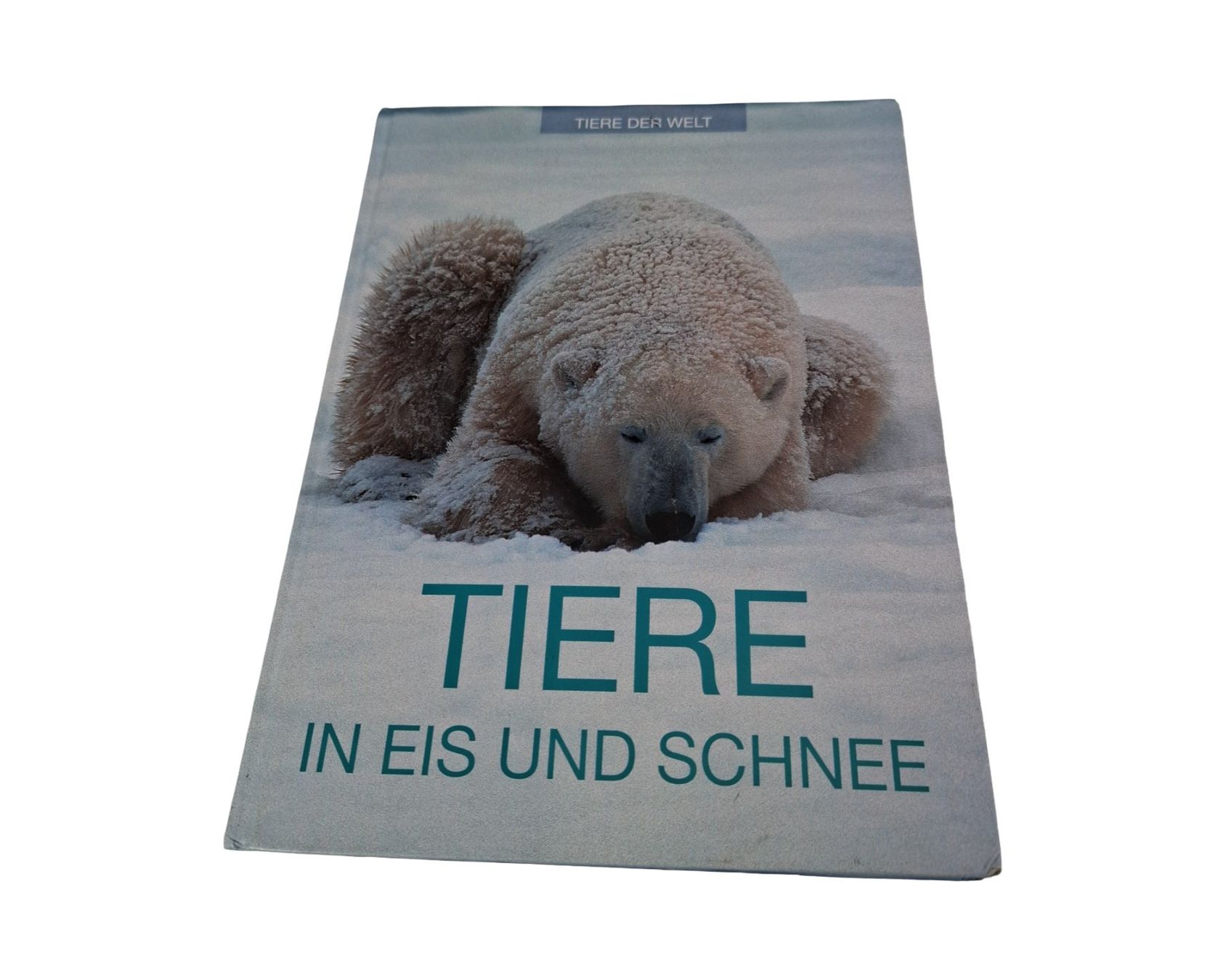 Libri: LINGEN Tiere in Eis und Schnee – Usato da Wil SG venduto da Restwert_Wil
