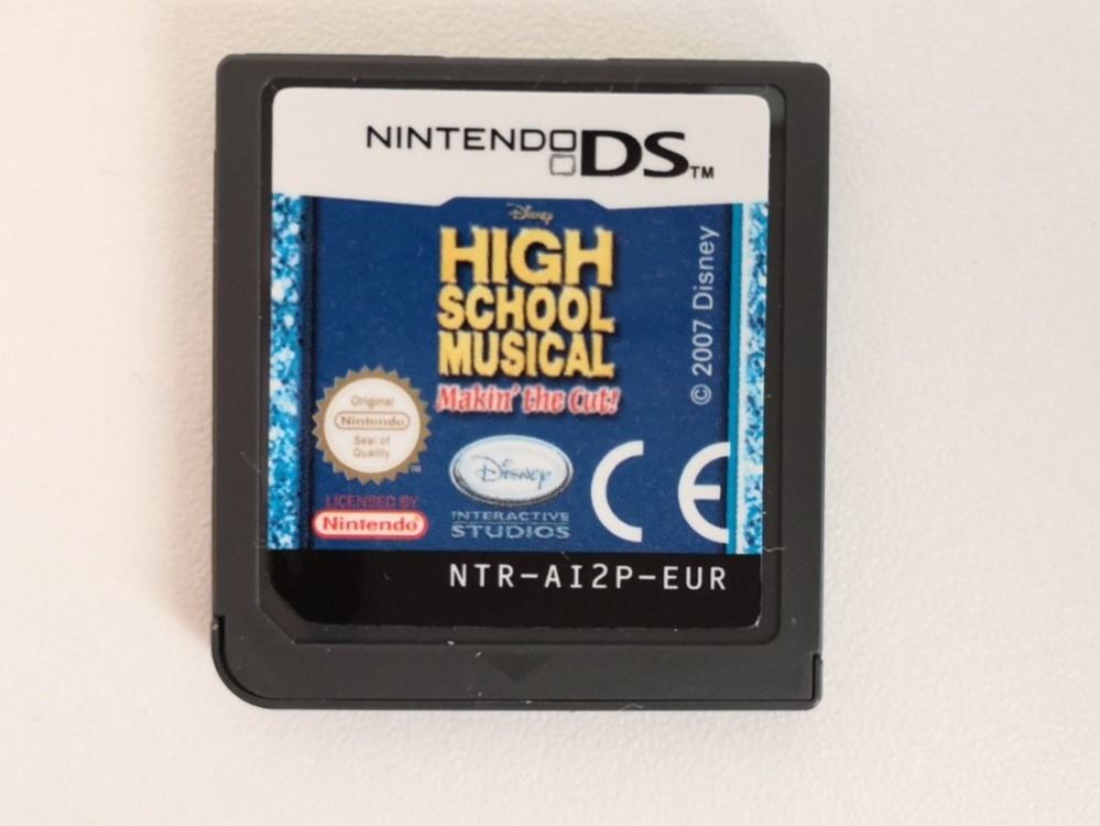 Giochi: Nitendo DS Spiel - High School Musical – Usato da Lenzburg venduto da Cori
