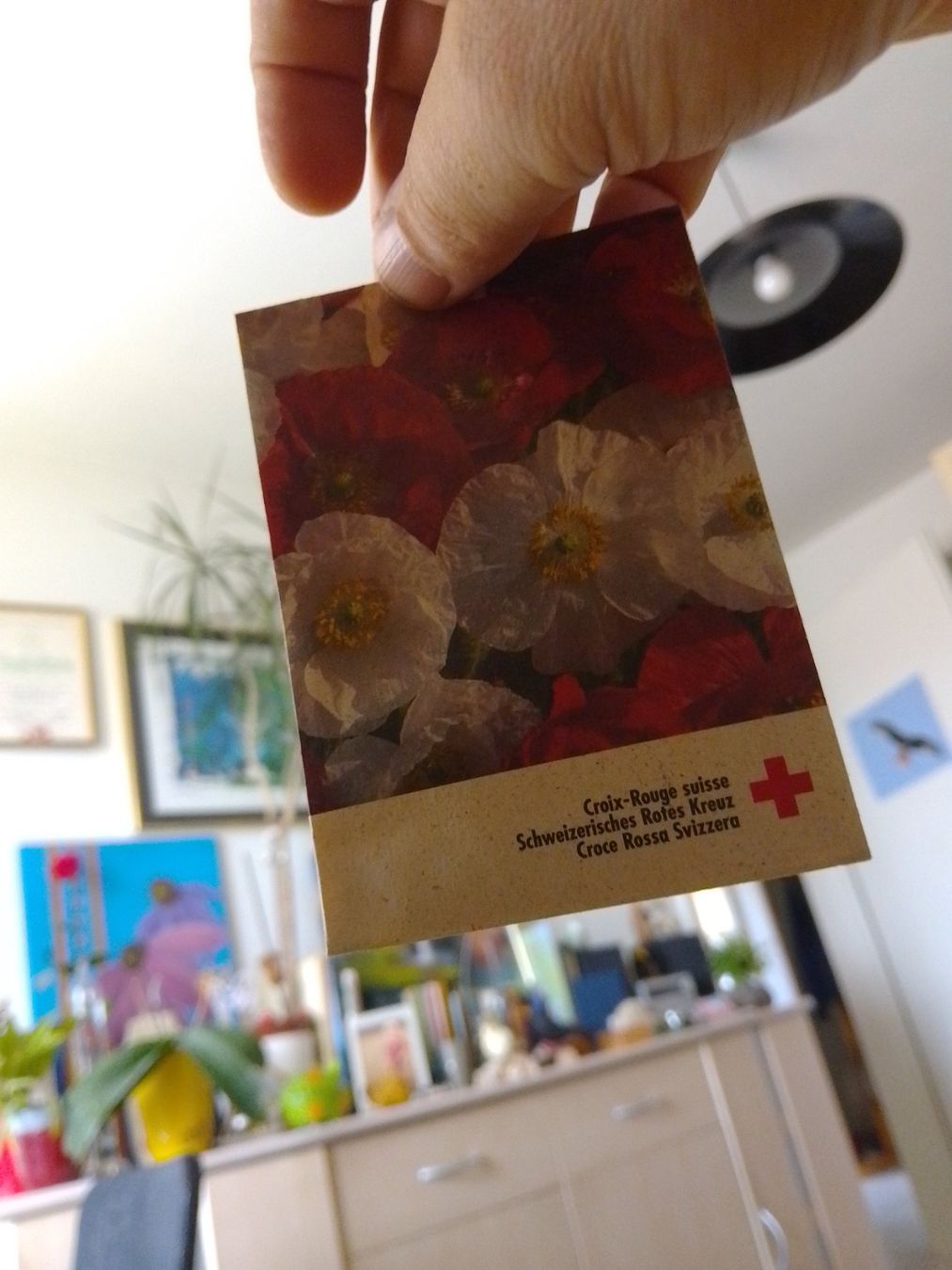 Plantes & graines: Mohn Samen – Neuf avec emballage d'origine à Weinfelden par PaterPio1968