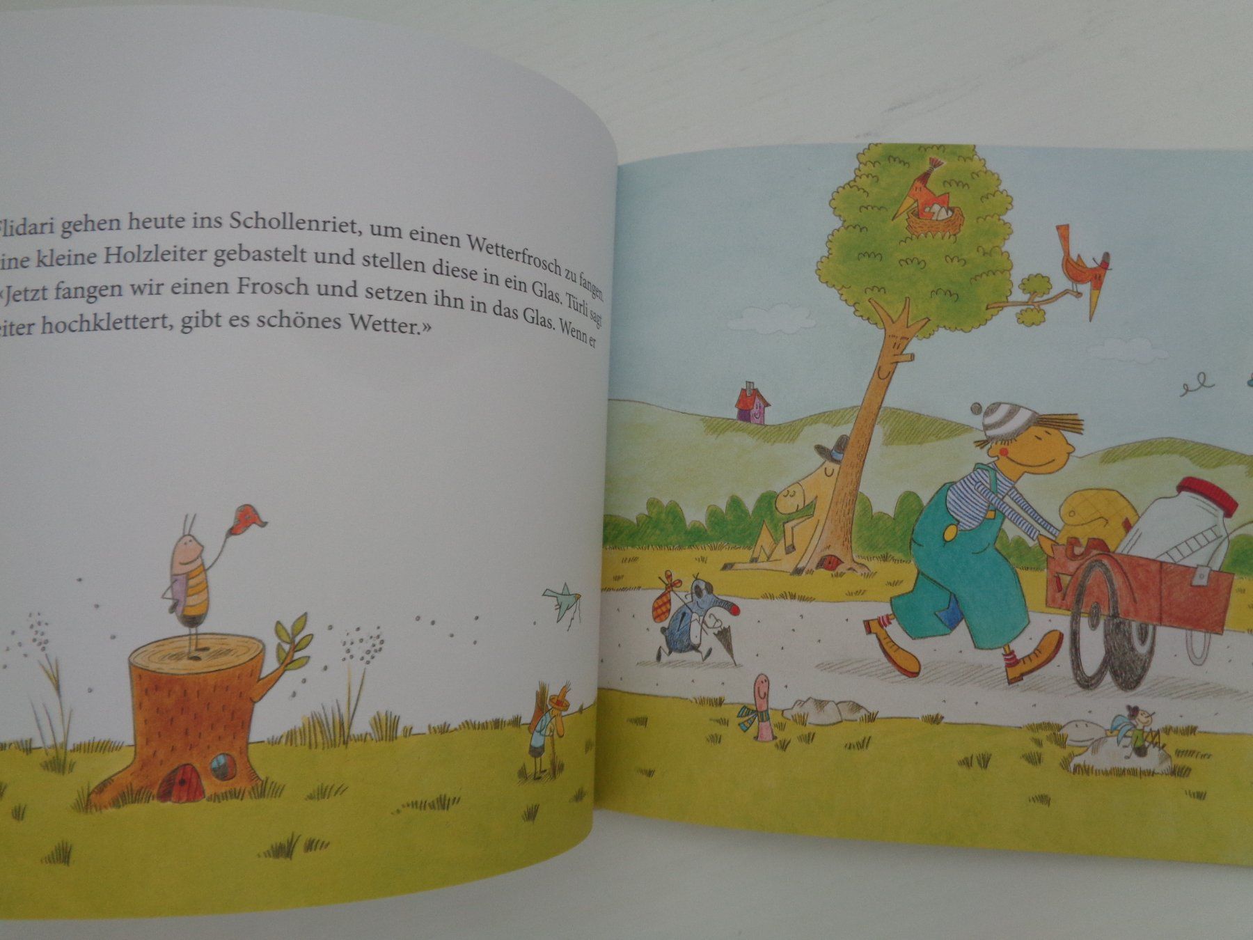 Libri: Türli & Flidari im Schollariet – Usato da Chur venduto da Oregano1 2