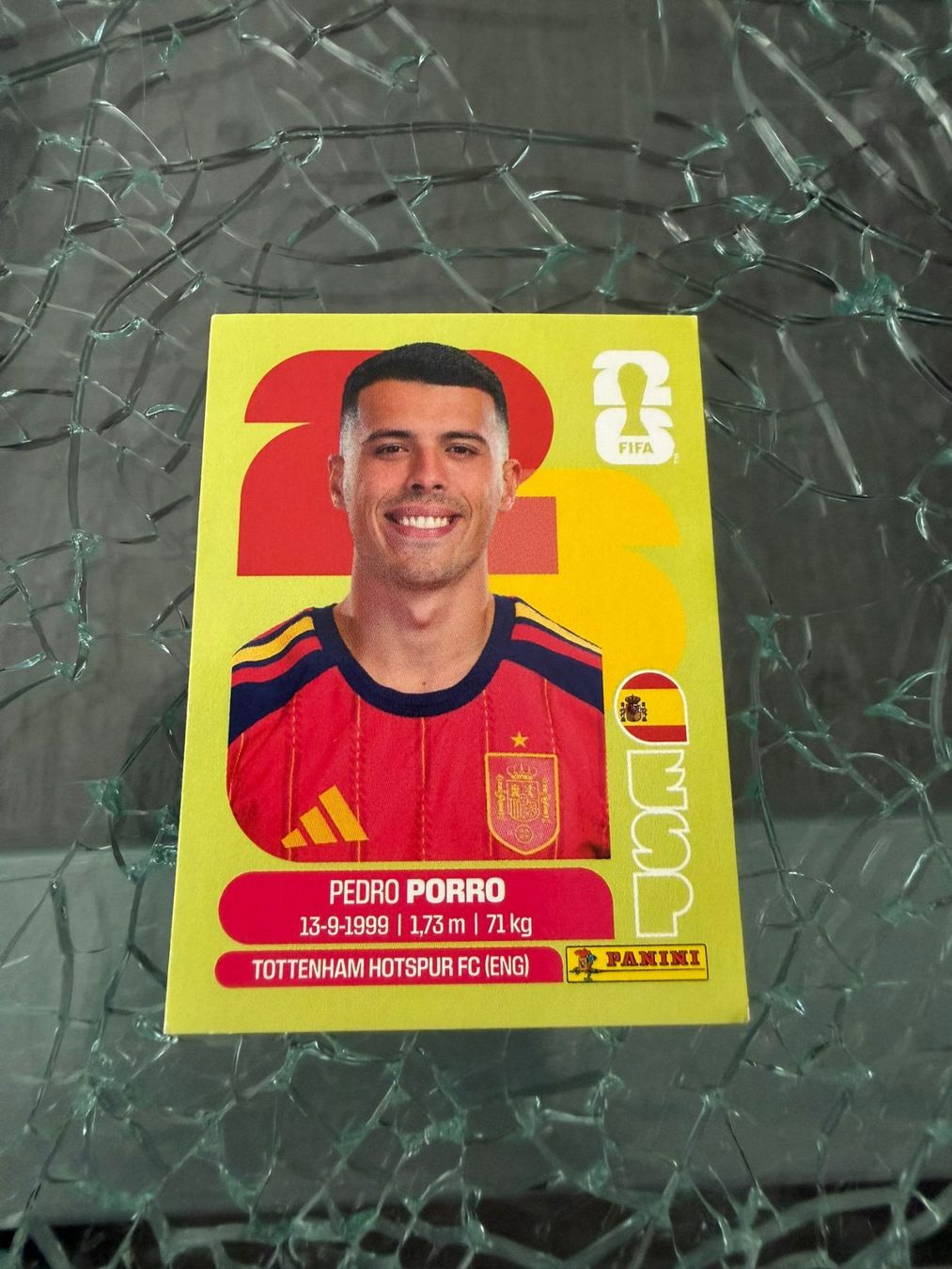 Panini Carte collezionabili: WM 2026 - Panini - Pedro Porro - ESP 6 – Usato da Pfäffikon ZH venduto da Marcodesi76