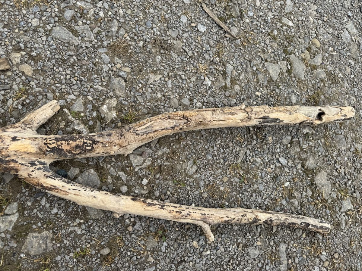 Articoli in legno: Schwemmholz – Usato da Schwellbrunn venduto da Magdalena888 1