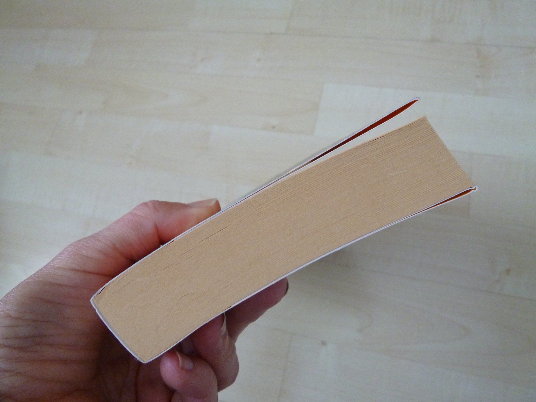 Bücher: Das Traumbuch  roman   Nina George – Gebraucht aus Dättlikon von Mamakuga 1