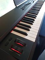 M-Audio Hammer 88Pro Midi Controller Neu gewichtete Tasten