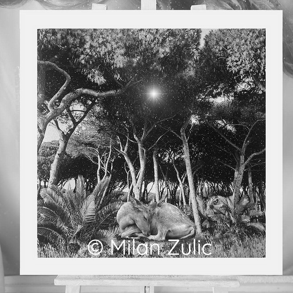 Foto & Immagini: Travel postcards 001 – Nuovo (secondo la descrizione) da Uetikon am See venduto da mil_7k2b 2