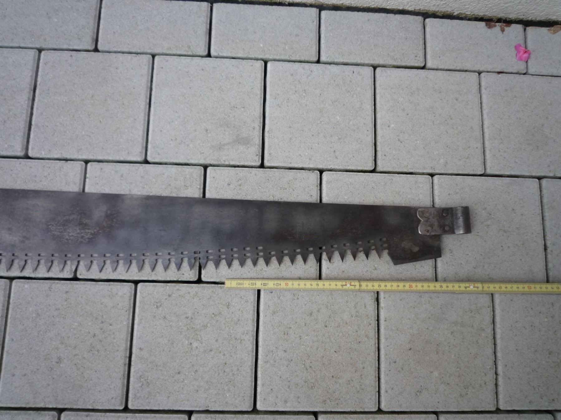 Seghe: Alte Waldsäge, 2 Händer mit Holzschutz, – Usato da Rafz venduto da Sonnenblume305 2