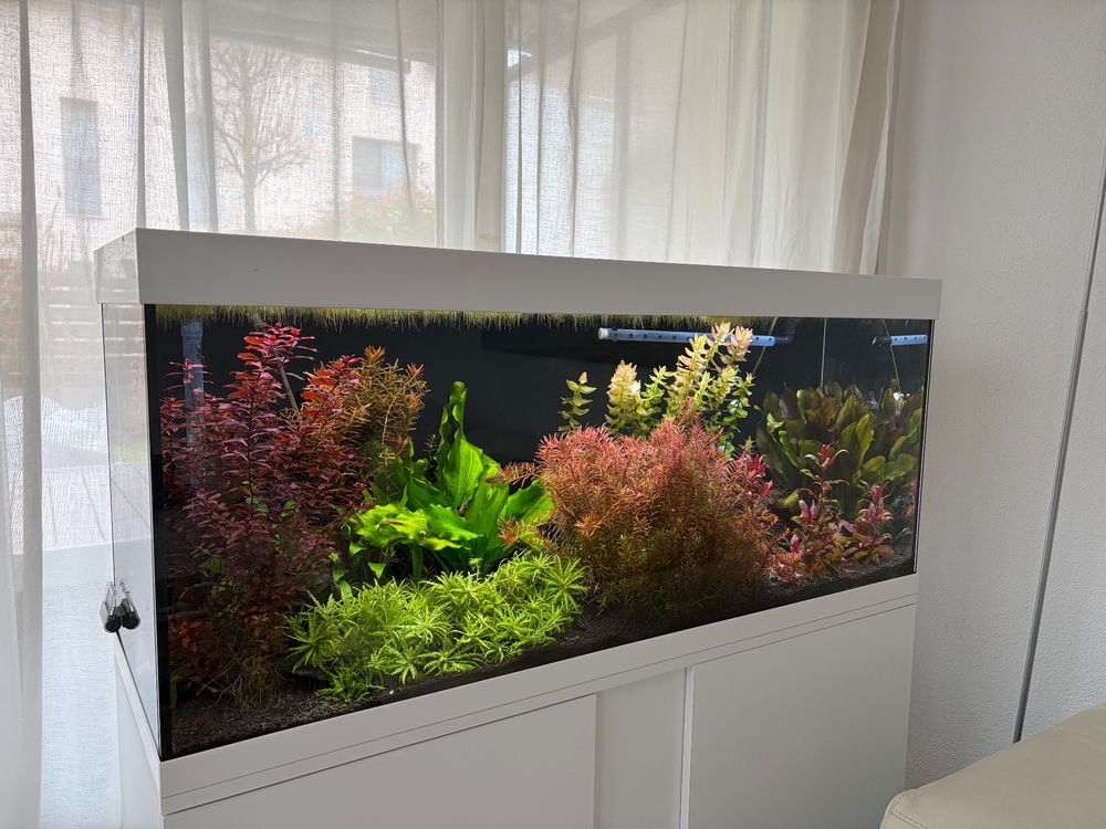 Aquarium Pflanzen Set 240 Liter
